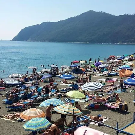 Leccino Con Piscina - Riva Trigoso Appartement Sestri Levante