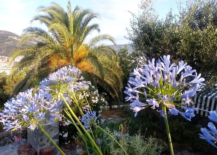 Leccino Con Piscina - Riva Trigoso *